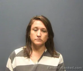 Mugshot of ASHLEY PEDOGO CORBIN booked in Sevier County, Tennessee on April 25, 2026