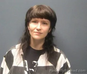 Mugshot of CAMILLE ALEXANDRA WOLTERS booked in Sevier County, Tennessee on April 26, 2026