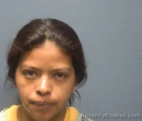 Mugshot of SARAHY MICHELL VASQUEZ booked in Sevier County, Tennessee on April 28, 2026