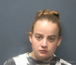 Mugshot of JOANNA BARNDT booked in Sevier County, Tennessee on May 1, 2026