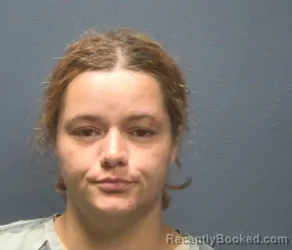 Mugshot of BIANCA A NEWMAN booked in Sevier County, Tennessee on May 5, 2026