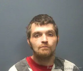 Mugshot of AUSTIN SCOTT WHITE booked in Sevier County, Tennessee on May 12, 2026