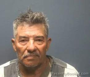 Mugshot of RUBEN ZELAYA-CASTRO booked in Sevier County, Tennessee on May 16, 2026