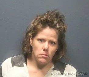 Mugshot of JAMIE MARIE MOJICA booked in Sevier County, Tennessee on June 25, 2026