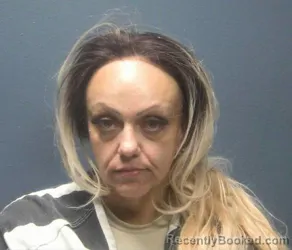 Mugshot of Audrie Ann Reece booked in Sevier County, Tennessee on October 9, 2026