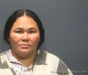Mugshot of Dunia Yojana Toro-Vasquez booked in Sevier County, Tennessee on July 27, 2026