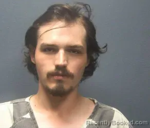 Mugshot of Clarence Justice Williamson booked in Sevier County, Tennessee on August 2, 2026