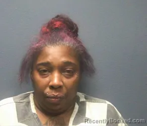 Mugshot of Lillian Yolanda Darden booked in Sevier County, Tennessee on August 2, 2026