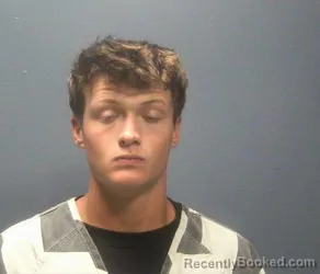 Mugshot of Bryson Lane Horney booked in Sevier County, Tennessee on August 3, 2026