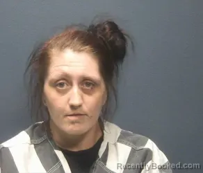 Mugshot of JERICHO PATRICIA EZELL booked in Sevier County, Tennessee on August 4, 2026