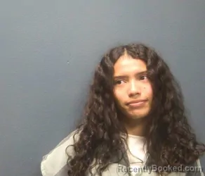 Mugshot of JALY DARYANI CRUZ booked in Sevier County, Tennessee on August 5, 2026