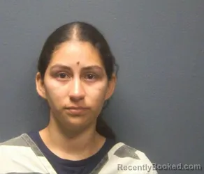 Mugshot of Samanta Nicolle Ramos booked in Sevier County, Tennessee on August 11, 2026