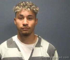 Mugshot of Christopher Daniel Aleman booked in Sevier County, Tennessee on August 11, 2026