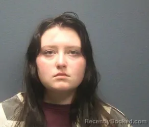 Mugshot of Madison Brooke Herman booked in Sevier County, Tennessee on August 12, 2026