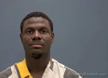 Mugshot of Ayomide Ojo booked in Sevier County, Tennessee on August 14, 2026