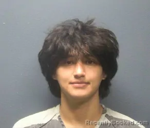 Mugshot of Marlon Gonzalez-Amaya booked in Sevier County, Tennessee on August 14, 2026