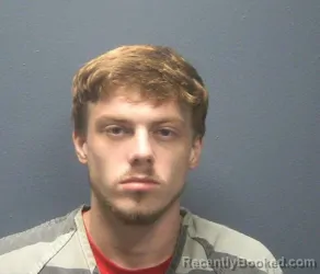 Mugshot of Devon Lashawn Wayne Walker booked in Sevier County, Tennessee on August 16, 2026
