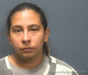 Mugshot of Lesbia Mariel Soler-Guerrero booked in Sevier County, Tennessee on August 18, 2026