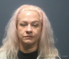Mugshot of Amanda Honey Hill booked in Sevier County, Tennessee on August 20, 2026