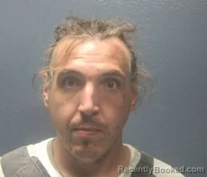 Mugshot of Michael Auston Ledford booked in Sevier County, Tennessee on August 20, 2026