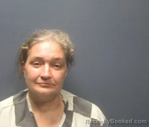 Mugshot of Stephanie N Sluss booked in Sevier County, Tennessee on August 20, 2026