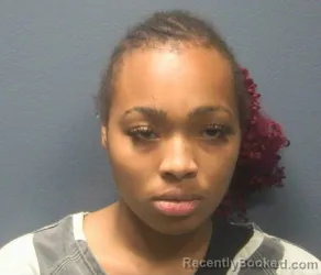 Mugshot of Angelina Sky Collier booked in Sevier County, Tennessee on August 22, 2026