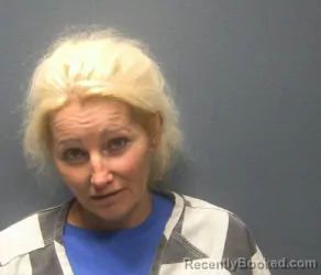 Mugshot of Rebecca Gail Necessary booked in Sevier County, Tennessee on September 25, 2026