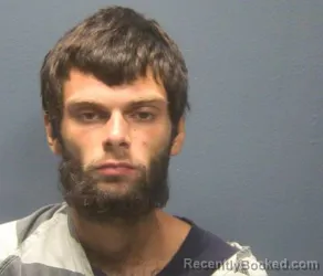 Mugshot of Tyson Christopher Fine booked in Sevier County, Tennessee on September 15, 2026