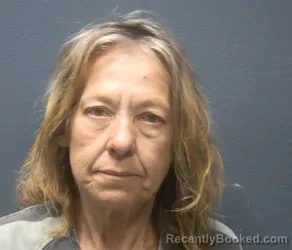 Mugshot of JOYCE ANN BRACKINS booked in Sevier County, Tennessee on July 5, 2026