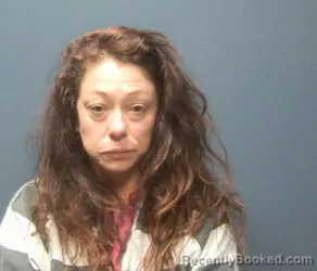 Mugshot of DELENA KAY BLEVINS