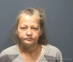 Mugshot of Dorothy Fay Floyd booked in Sevier County, Tennessee on August 24, 2026