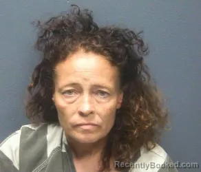 Mugshot of Lisa Regina Thomas booked in Sevier County, Tennessee on August 3, 2026