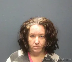 Mugshot of JENNIFER HOPE BRANCH-SUMMERALL booked in Sevier County, Tennessee on April 23, 2026