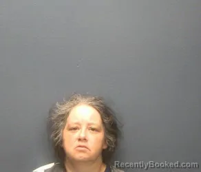 Mugshot of ALICIA DANIELLE NICELY booked in Sevier County, Tennessee on May 23, 2026