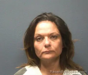 Booking photo from Sevier County, Tennessee