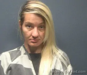 Mugshot of Jessica Marie Braswell booked in Sevier County, Tennessee on August 24, 2026
