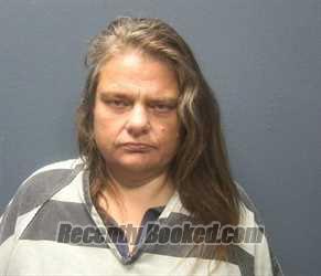 Mugshot of APRIL DAWN MCGILL booked in Sevier County, Tennessee on June 17, 2026