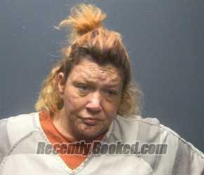 Mugshot of SHANNON MENDENEZ HIPSHER booked in Sevier County, Tennessee on June 5, 2026