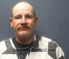 Booking photo from Sevier County, Tennessee