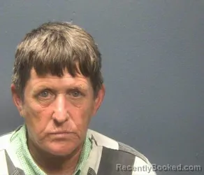 Mugshot of Jodi Lee Anderson booked in Sevier County, Tennessee on August 17, 2026