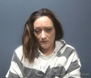 Booking photo from Sevier County, Tennessee