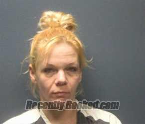 Mugshot of AMBER VICTORIA ADKINS booked in Sevier County, Tennessee on June 22, 2026