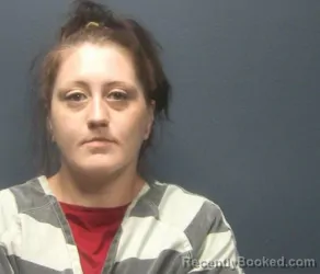 Mugshot of Jericho Patricia Ezell booked in Sevier County, Tennessee on August 14, 2026