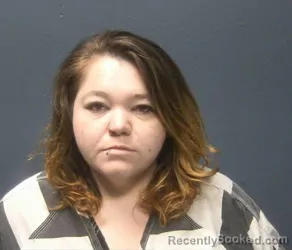 Booking photo from Sevier County, Tennessee