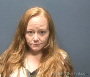 Mugshot of LINDA MARIE VAUGHN booked in Sevier County, Tennessee on April 2, 2026