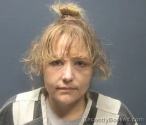 Mugshot of MINDEE SHAINE VANCE booked in Sevier County, Tennessee on April 4, 2026