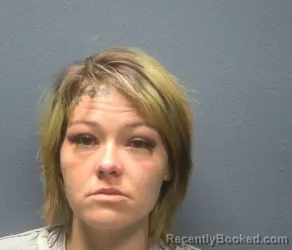 Mugshot of CAROLANN MARIE BURRIS booked in Sevier County, Tennessee on May 4, 2026