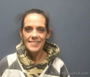 Mugshot of LISA MICHELLE SMITH booked in Sevier County, Tennessee on April 6, 2026