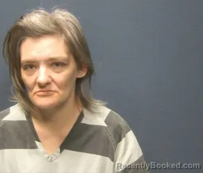 Booking photo from Sevier County, Tennessee