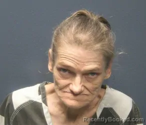 Mugshot of DEBBY SUE TARBETT booked in Sevier County, Tennessee on April 23, 2026